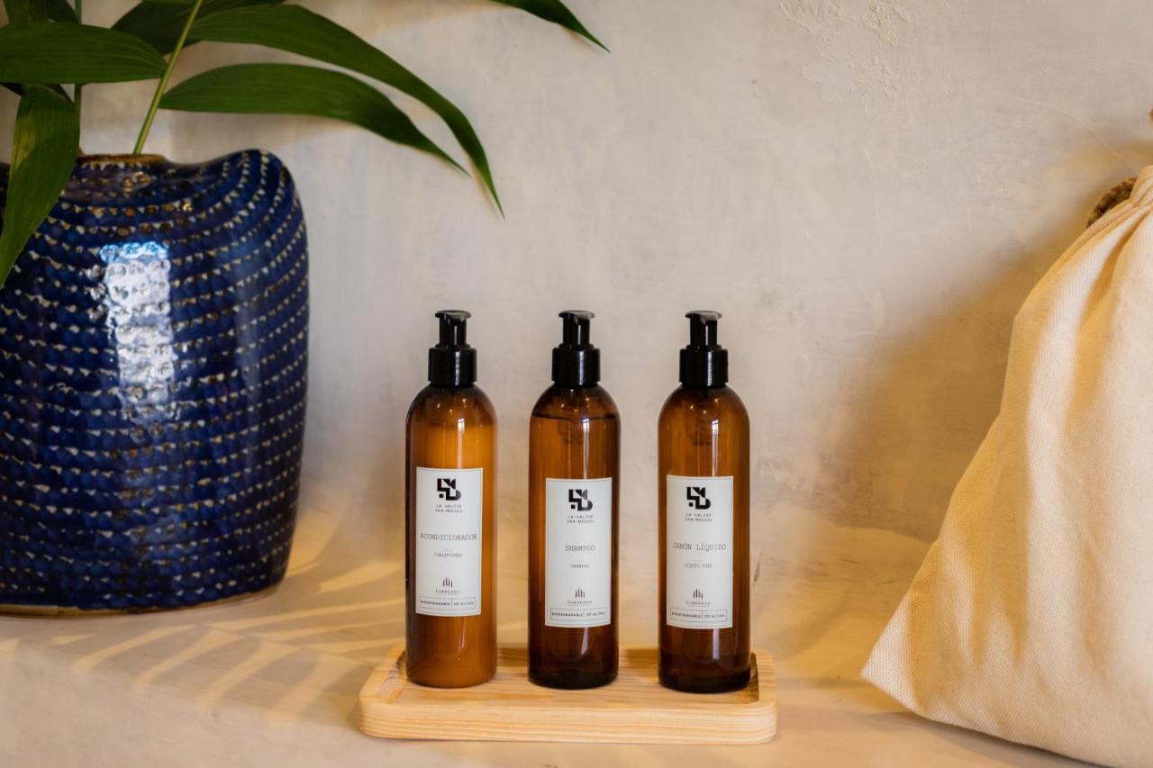La Valise San Miguel De Allende, Member Of Small Luxury Hotels Exteriör bild
